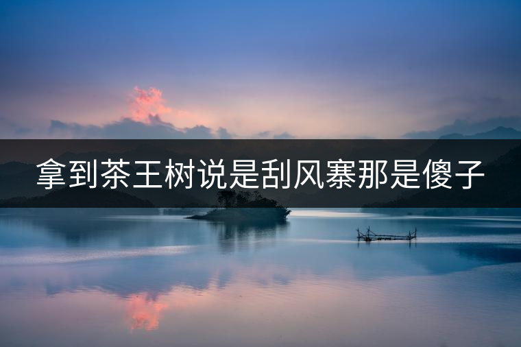 拿到茶王樹說(shuō)是刮風(fēng)寨那是傻子 拿到茶王樹說(shuō)是刮風(fēng)寨那是傻子
