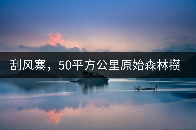 刮風寨，50平方公里原始森林攢集的氣韻！
