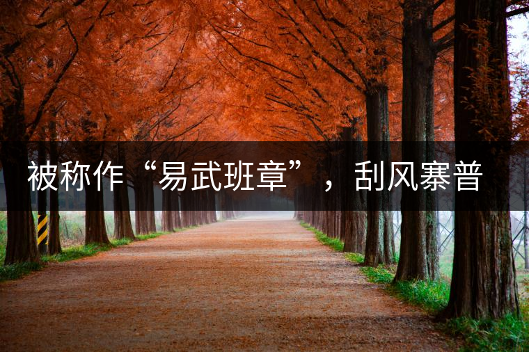 被稱作“易武班章”，刮風(fēng)寨普洱茶是否實(shí)至名歸?被稱作“易武班章”，刮風(fēng)寨普洱茶是否實(shí)至名歸？