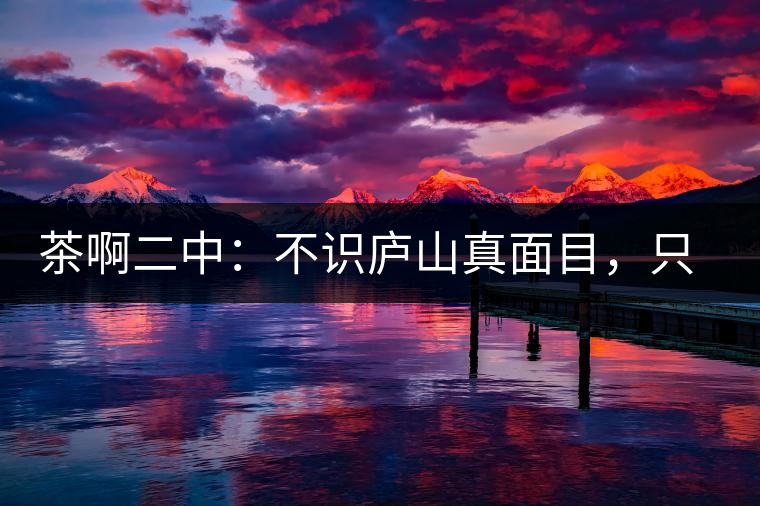 茶啊二中：不識(shí)廬山真面目，只識(shí)彎弓射大雕，賈淳真搞笑