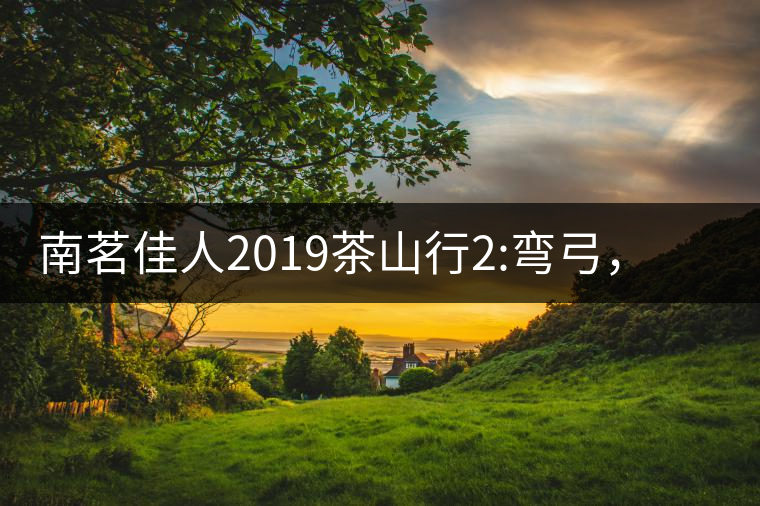 南茗佳人2019茶山行2:彎弓，一路艱辛，只為這有生命...南茗佳人2019茶山行2：彎弓，一路艱辛，只為這有生命厚度的茶！