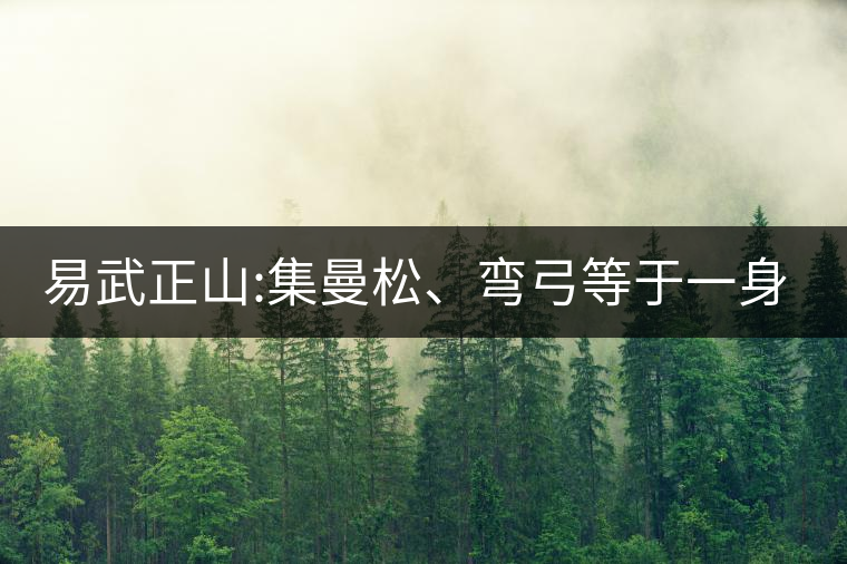 易武正山:集曼松、彎弓等于一身的貴族老黃片，好喝沒得...易武正山：集曼松、彎弓等于一身的貴族老黃片，好喝沒得說