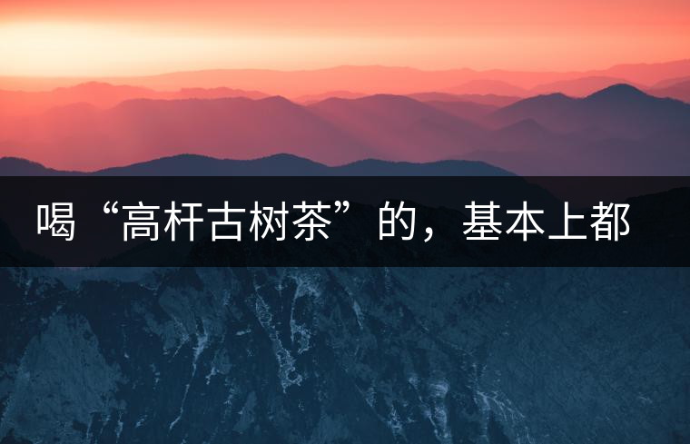 喝“高桿古樹茶”的，基本上都是不懂茶的