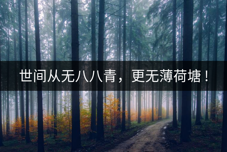 世間從無八八青，更無薄荷塘 !