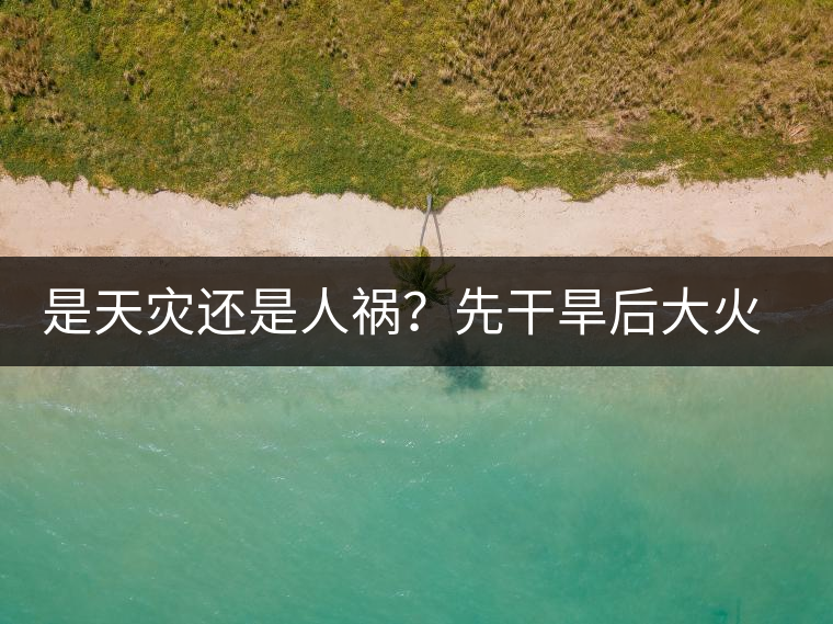 是天災(zāi)還是人禍？先干旱后大火，普洱茶將何去何從？