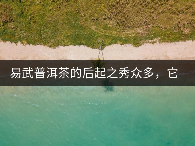 易武普洱茶的后起之秀眾多，它是還沒(méi)漲價(jià)的一個(gè)！