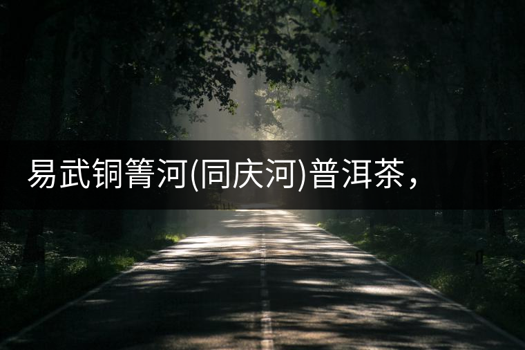 易武銅箐河(同慶河)普洱茶，讓我拜倒的不止它的口感易武銅箐河（同慶河）普洱茶，讓我拜倒的不止它的口感