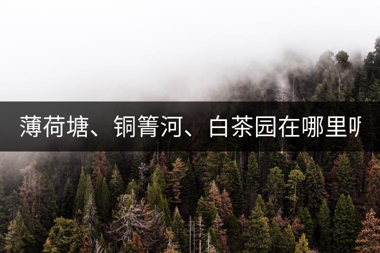 薄荷塘、銅箐河、白茶園在哪里呢?薄荷塘、銅箐河、白茶園在哪里呢？