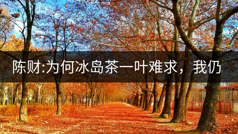 陳財(cái):為何冰島茶一葉難求，我仍然堅(jiān)持