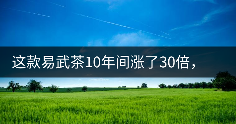 這款易武茶10年間漲了30倍，但已芳蹤罕見
