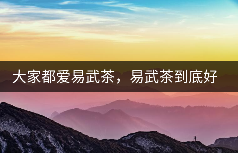 大家都愛易武茶，易武茶到底好在哪兒?大家都愛易武茶，易武茶到底好在哪兒？