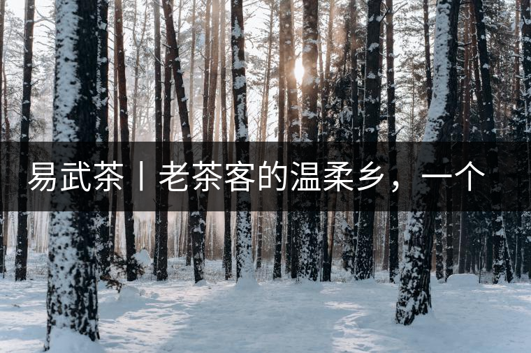 易武茶丨老茶客的溫柔鄉(xiāng)，一個(gè)“柔”字迷倒了多少英雄漢！