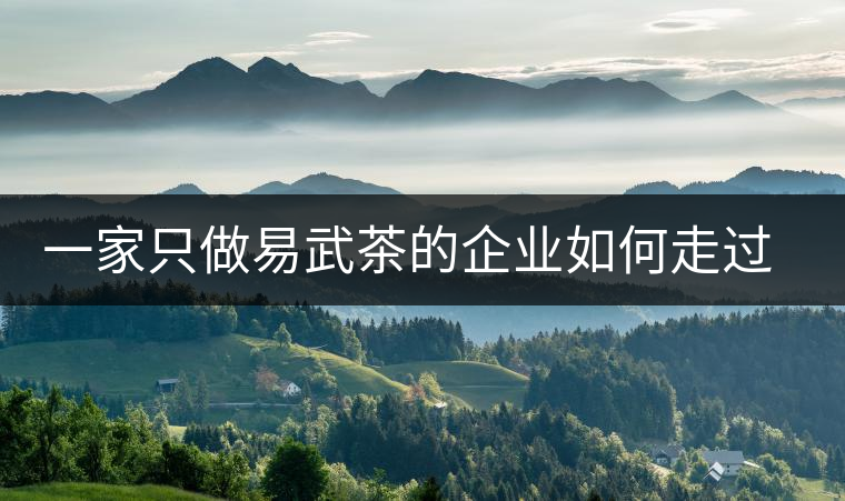 一家只做易武茶的企業(yè)如何走過了十年？