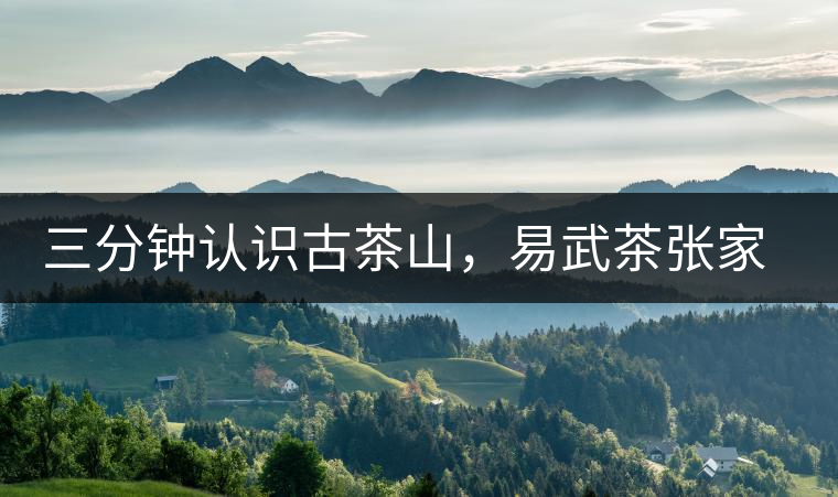 三分鐘認(rèn)識(shí)古茶山，易武茶張家灣寨普洱茶口感特點(diǎn)