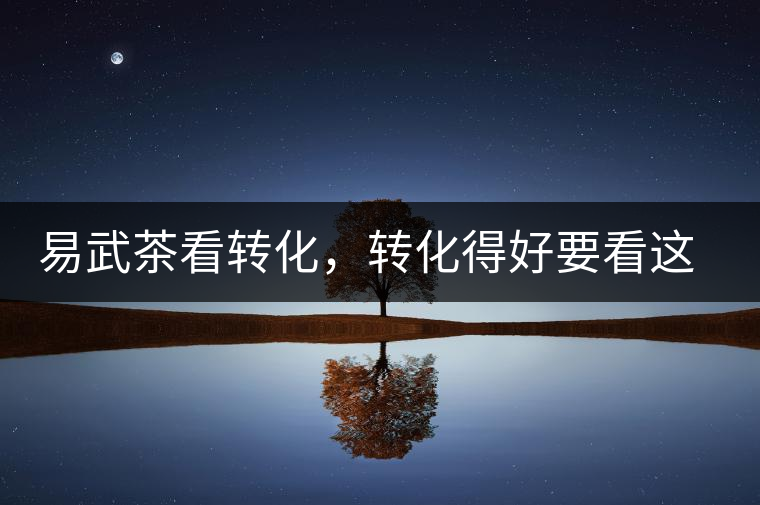 易武茶看轉(zhuǎn)化，轉(zhuǎn)化得好要看這三要素及品牌優(yōu)勢！
