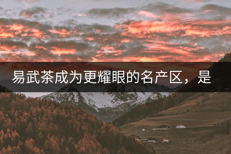 易武茶成為更耀眼的名產(chǎn)區(qū)，是歷史的回歸，是未來(lái)市場(chǎng)的必然導(dǎo)向