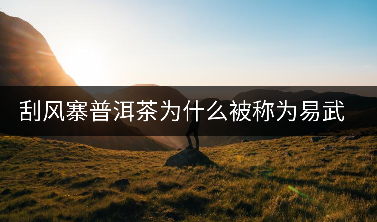 刮風(fēng)寨普洱茶為什么被稱(chēng)為易武茶王？
