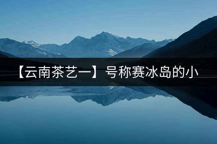 【云南茶藝一】號稱賽冰島的小戶賽憑什么！今天帶大家一起研究下