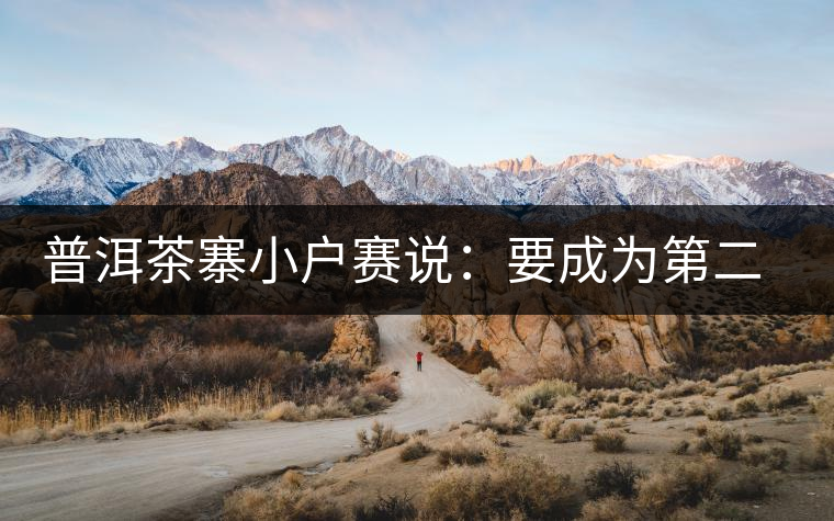 普洱茶寨小戶賽說(shuō)：要成為第二個(gè)冰島，勐庫(kù)普洱茶圈都爆了！