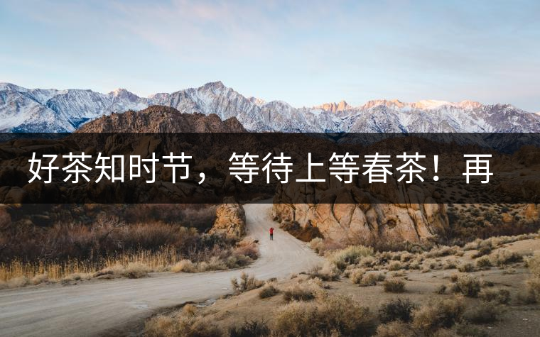 好茶知時節(jié)，等待上等春茶！再來回味這些年喝過的小戶賽古樹春茶