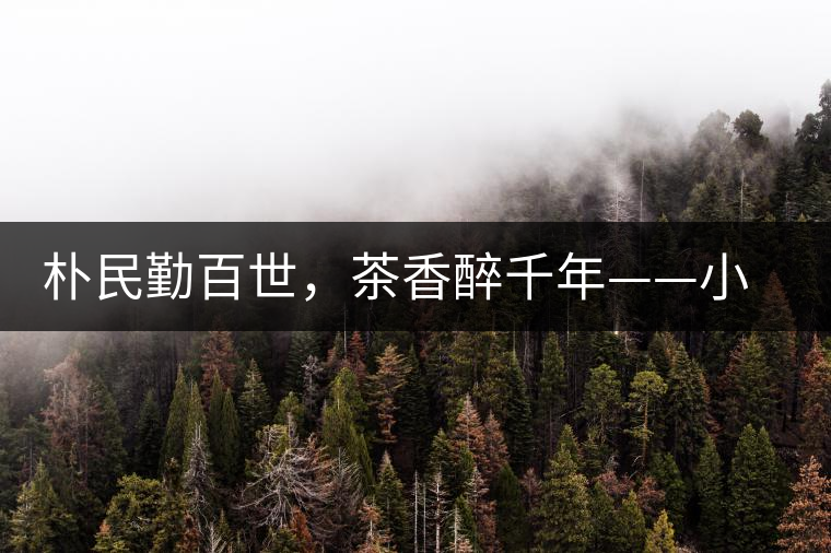 樸民勤百世，茶香醉千年——小戶賽古寨