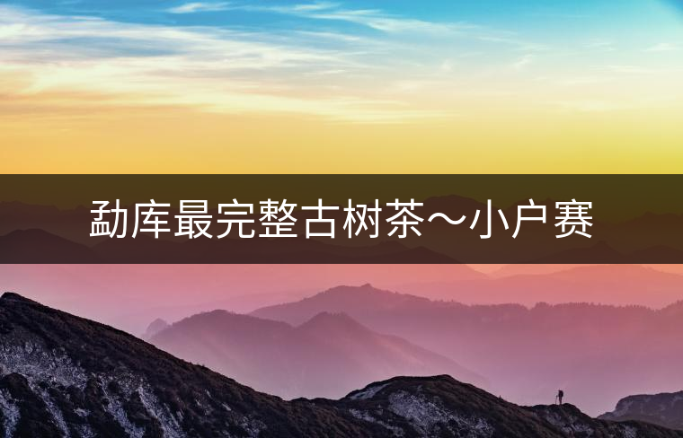 勐庫(kù)最完整古樹(shù)茶～小戶(hù)賽