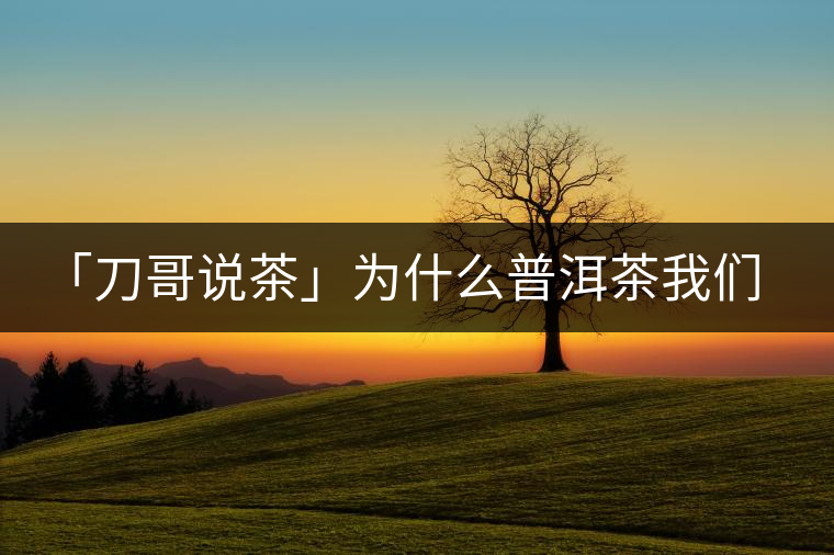 「刀哥說茶」為什么普洱茶我們情愿選三無？