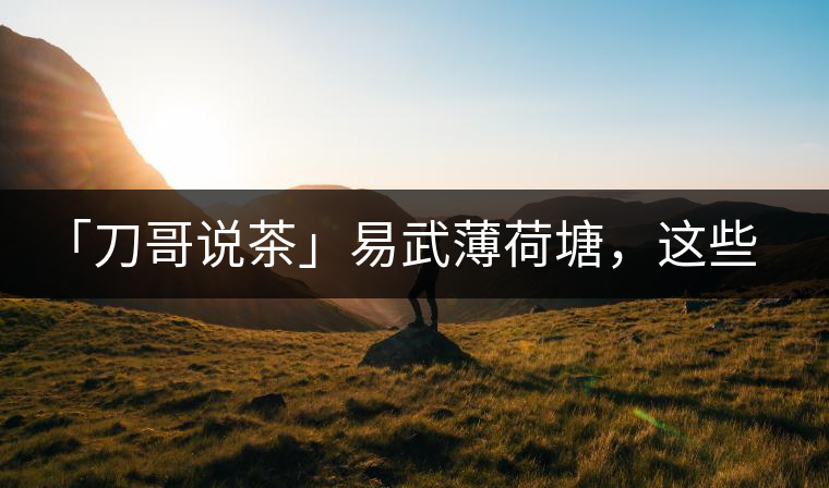 「刀哥說茶」易武薄荷塘，這些冷知識你該知道