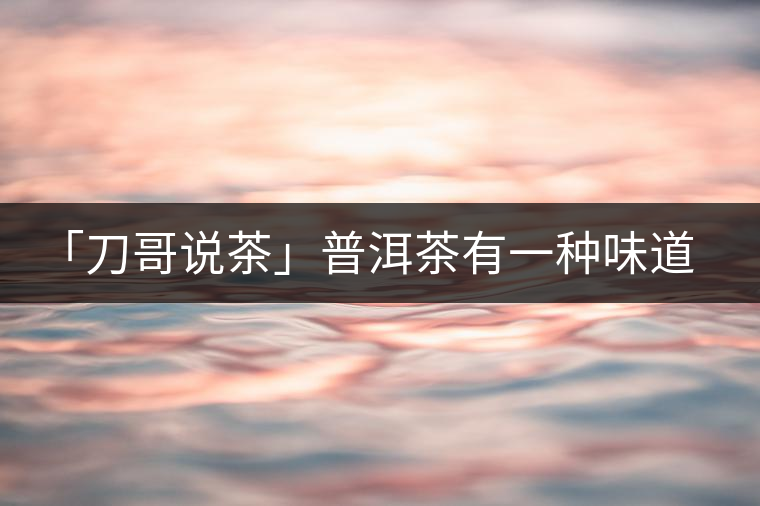 「刀哥說茶」普洱茶有一種味道，只可意會不可言傳