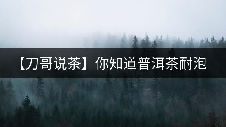 【刀哥說(shuō)茶】你知道普洱茶耐泡，那你知道哪一類普洱茶比較耐泡？