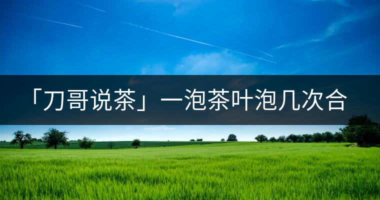 「刀哥說茶」一泡茶葉泡幾次合適?「刀哥說茶」一泡茶葉泡幾次合適？