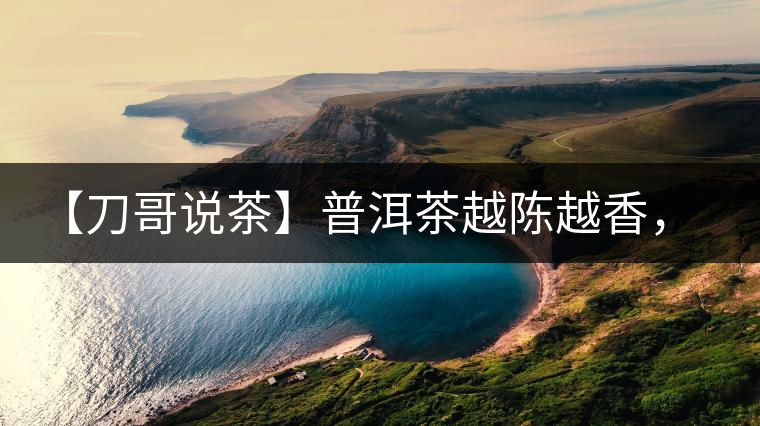 【刀哥說茶】普洱茶越陳越香，為什么新茶更受歡迎？