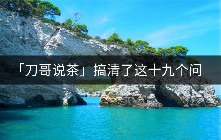 「刀哥說茶」搞清了這十九個問題，您就是熟茶專家