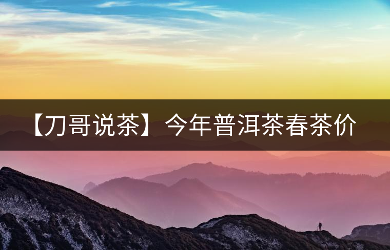 【刀哥說(shuō)茶】今年普洱茶春茶價(jià)格，我不預(yù)測(cè)
