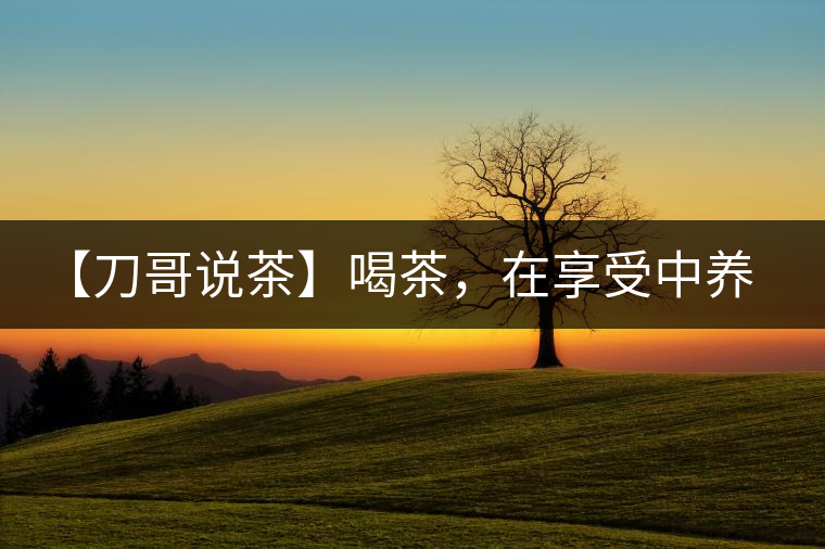 【刀哥說(shuō)茶】喝茶，在享受中養(yǎng)生的最佳選擇