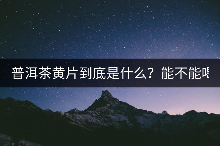 普洱茶黃片到底是什么？能不能喝？