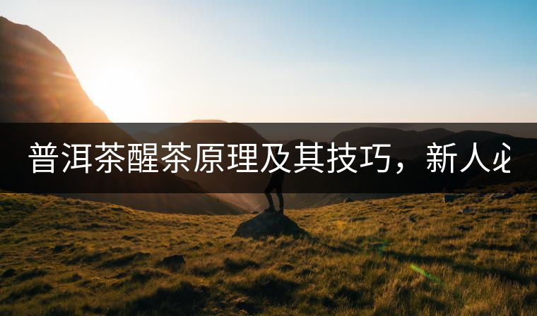 普洱茶醒茶原理及其技巧，新人必備！