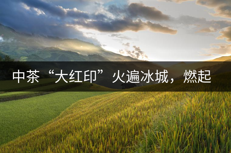 中茶“大紅印”火遍冰城，燃起普洱茶新味蕾