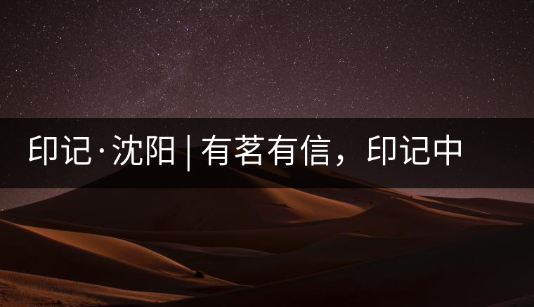 印記·沈陽 | 有茗有信，印記中茶，中茶普洱亮相沈陽茶博會