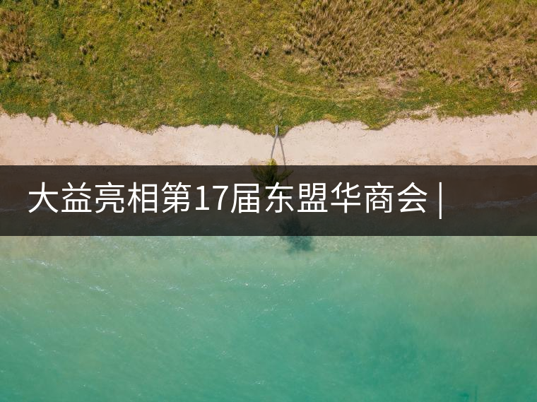 大益亮相第17屆東盟華商會(huì) | 海內(nèi)外嘉賓共謀發(fā)展，共品大益茶