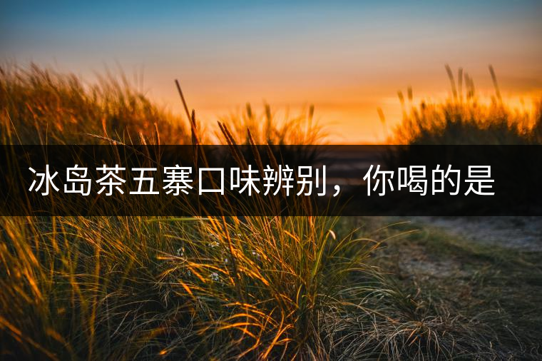 冰島茶五寨口味辨別，你喝的是正宗冰島茶嗎?冰島茶五寨口味辨別，你喝的是正宗冰島茶嗎？