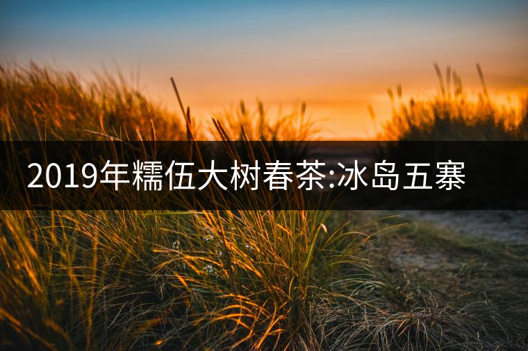 2019年糯伍大樹春茶:冰島五寨甜柔口感的代表，售價(jià)不...2019年糯伍大樹春茶：冰島五寨甜柔口感的代表，售價(jià)不到500