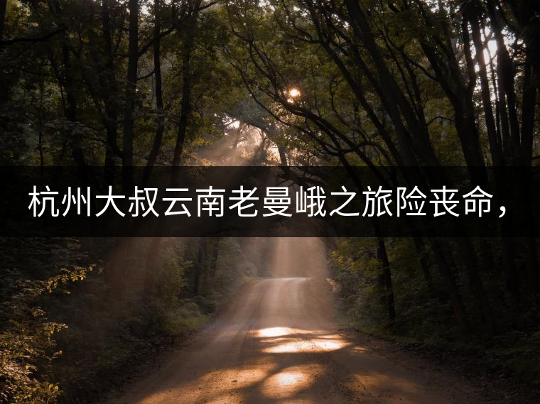 杭州大叔云南老曼峨之旅險喪命，買下茶園種茶，成普...杭州大叔云南老曼峨之旅險喪命，買下茶園種茶，成普洱圈網(wǎng)紅