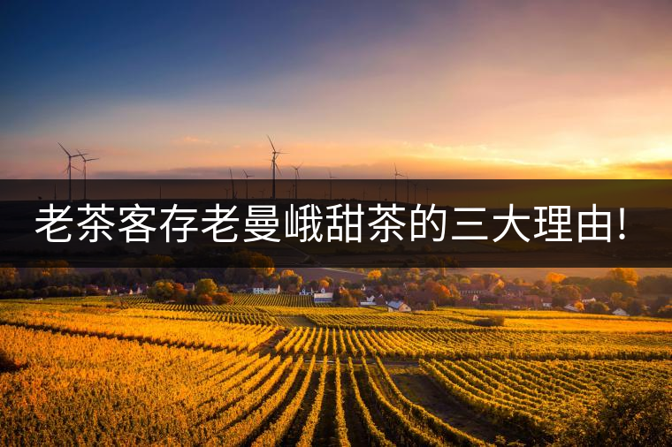 老茶客存老曼峨甜茶的三大理由!老茶客存老曼峨甜茶的三大理由！