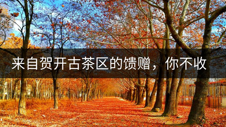 來自賀開古茶區(qū)的饋贈，你不收一波嗎?來自賀開古茶區(qū)的饋贈，你不收一波嗎？