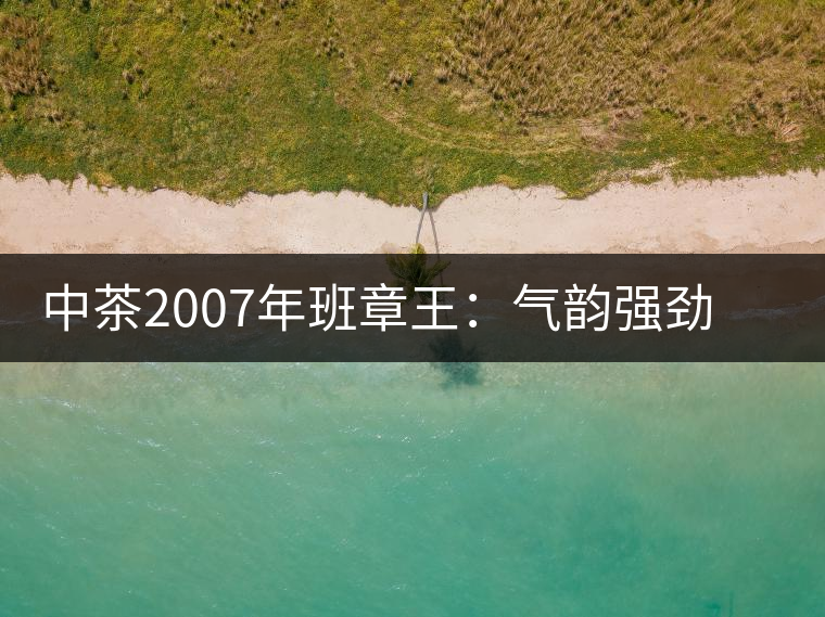 中茶2007年班章王：氣韻強(qiáng)勁，蜂蜜水般甜潤(rùn)，一直被老茶客撿漏