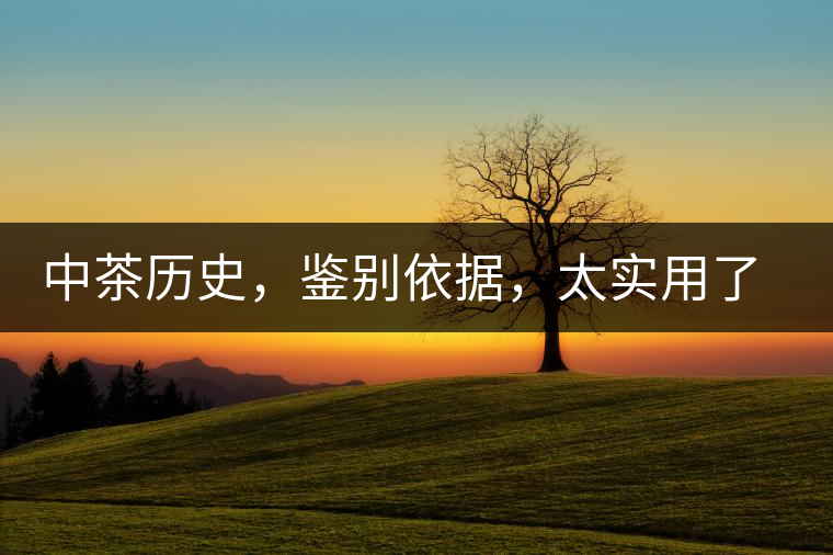 中茶歷史，鑒別依據(jù)，太實用了中茶歷史，鑒別依據(jù)，太實用了