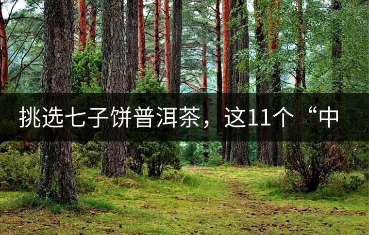 挑選七子餅普洱茶，這11個(gè)“中茶”標(biāo)志千萬(wàn)別弄混!挑選七子餅普洱茶，這11個(gè)“中茶”標(biāo)志千萬(wàn)別弄混！
