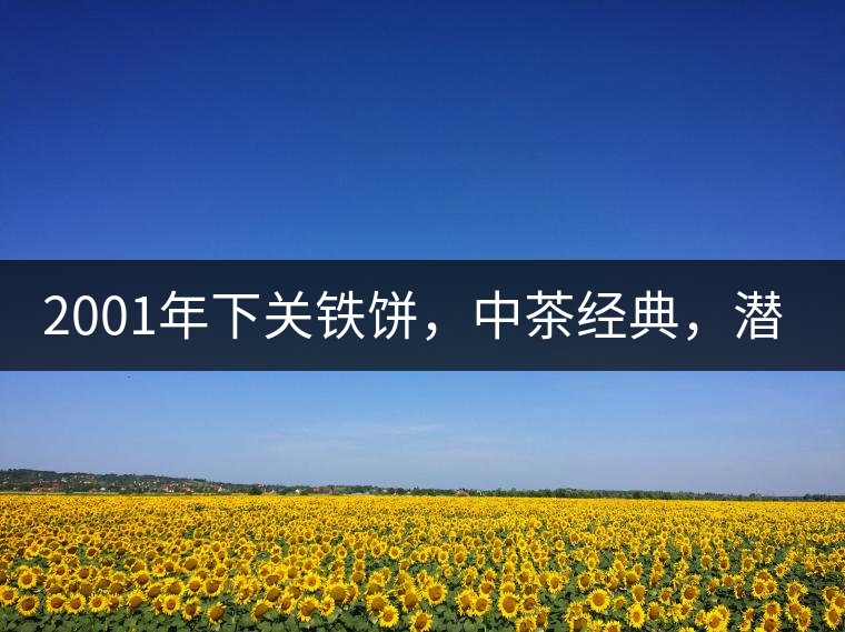 2001年下關(guān)鐵餅，中茶經(jīng)典，潛力可期!