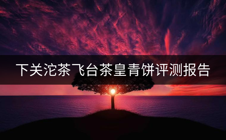 下關(guān)沱茶飛臺(tái)茶皇青餅評(píng)測(cè)報(bào)告